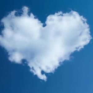 Meet your Posher, Maneka